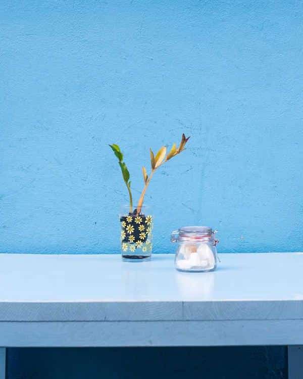 The Blue Room