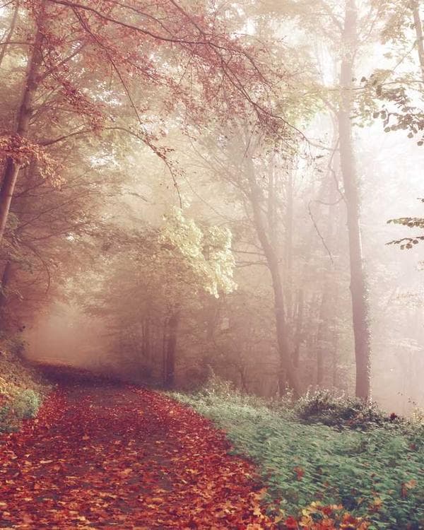 Golden Blur
