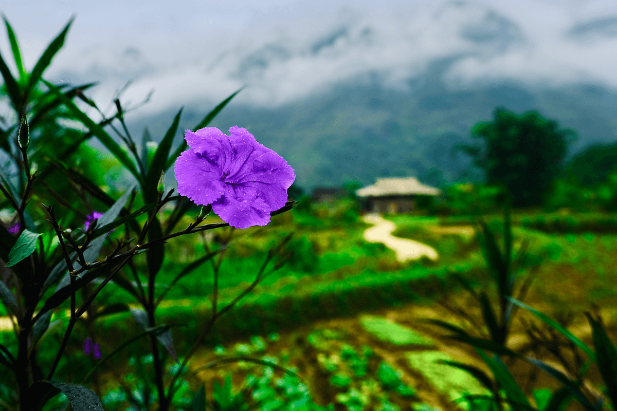 Vietnamese Village, Photography Print