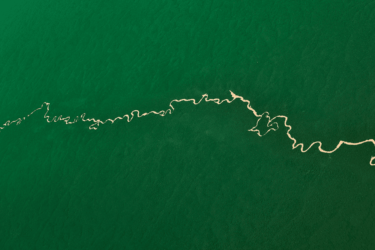 Amazon Rainforest From The Air